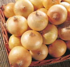 Chinese yellow onion